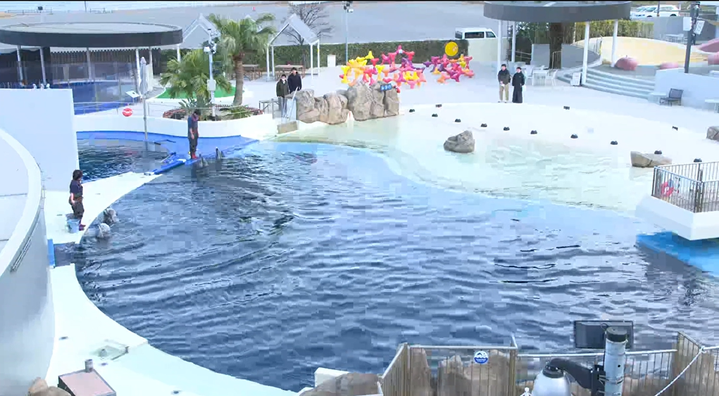 経路２ 水族館うみたまごからの映像